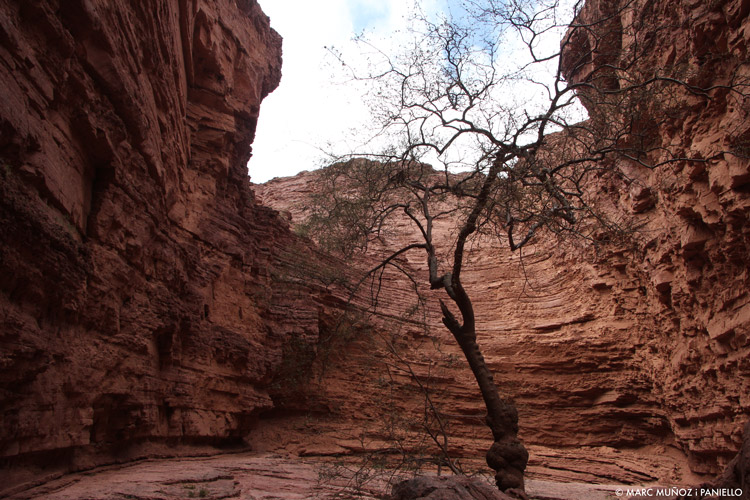Garganta del Diablo. Salta. Argentina. Marc Muñoz i Paniello